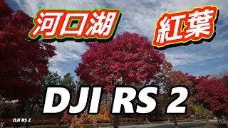 2020年 河口湖紅葉　富士河口湖町　DJI RS 2