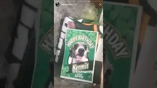 Irish Spring Sends Jenna Marbles A Present For Kermit