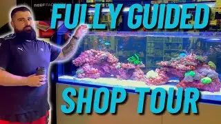 LFS Tour - Lifestyle Aquariums and Reptiles
