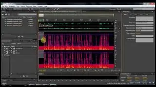 Adobe Audition: Cleaning up mutiple sounds like multiple birds and noise.