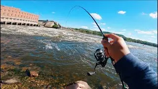 Fishing at Big Spillway for Multi Species (Here's How!)