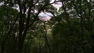 На обрыве / On a cliff