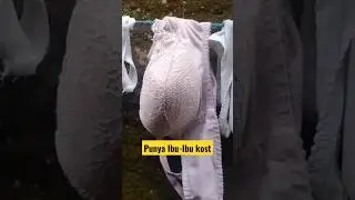 Lewat gang menuju koskosan malah nemu ini..!!  