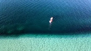 Çeşme Alaçatı Sörf Plajı Kuş Bakışı