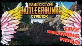 Стрелки | Стрим | PUBG | ПАБГ | ПУБГ | ОнЛайн
