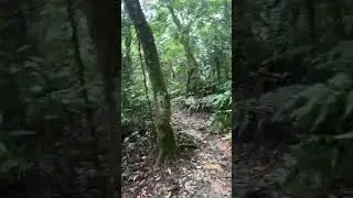 一座很多棚子集合的山-棚集山