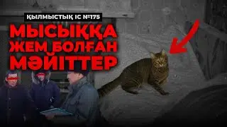 МЫСЫҚҚА ЖЕМ БОЛҒАН МӘЙІТТЕР | ӨСКЕМЕН | №175