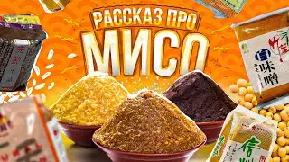 A STORY ABOUT MISO | WHAT TO DO WITH MISO