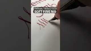 Platinum Century Softfine nib #shorts
