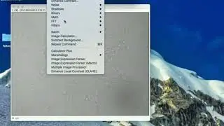 Filtros convolve  FiJI en imagen de color. Como Guardar como secuencia de imágenes