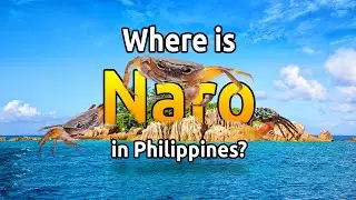 An ISLAND SURROUNDED BY POISONOUS DEVIL CRABS in the PHILIPPINES