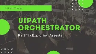 Exploring Assets - Part 11