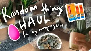 random haul haukk dengan anak bulus annoying