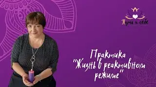 Как жить в реактивном режиме в свое удовольствие? | Практика 