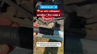 🚌 из чего собирают автобус? Вся инфа в телеге.