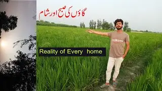 Morning In Village Life 🌞| Vlog 🔥| Life Spending Scene|