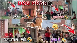 Fake Dog Bark Run | Prank in India | prank video funny | Funny video |Tufani team 99