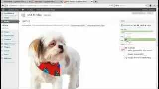 Clicking a text link to open a light box photo using Lightbox Plus