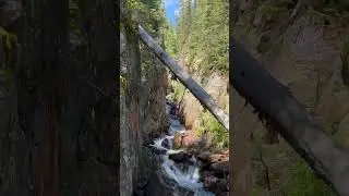 Colorado Wilderness Hike