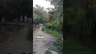 Paniala (Khyber Pakhtunkhwa, Pakistan) #travel #travelvlog #traveling #pakistanistyle #KPKPTI
