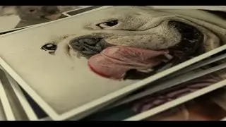 Photo Gallery Smile to Life
