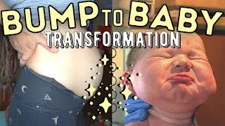 9 LB BABY BUMP PROGRESSION 😲 HUGE BELLY! WEEKLY PREGNANCY TRANSFORMATION, PREGNANT BUMP GROWING