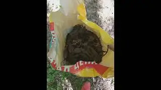 Кто-то в лес ходит по грибы, по ягоды, а мы пошли в лес за землей))))