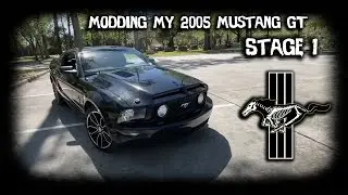 The Undead Mare Gets Modded! - 2005 Mustang GT