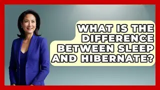 What Is The Difference Between Sleep And Hibernate? - Your Computer Companion