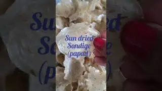 Semolina Sondige ( papad)  Home made Sondige (papad)