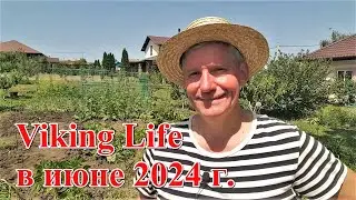 #358  Viking Life в июне 2024/переезд в Россию/Краснодарский край село Молдаванское/жизнь на Юге РФ.