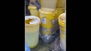 Bologna, feti e resti umani nei barili  Scoperta choc in un capannone