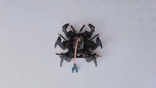 Hexapod Robot Kit | D.I.Y Spider Robot