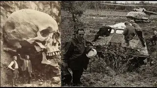Профессор, в тайге, встретил существо неизвестное науке