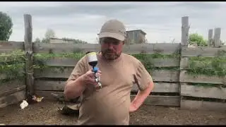 Поставили железо вьетнамским поросятам