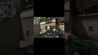 insane 4k