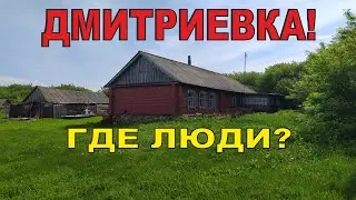 Глухая деревня Дмитриевка. Тамбовская область. Никого нет