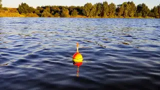 ЖАРА - ВРЕМЯ РЫБАЛКИ НА ТОЛСТОЛОБИКА!