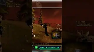 He Did A Flip | 210