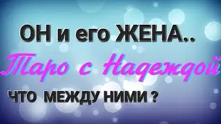 Что у него с женой сейчас?