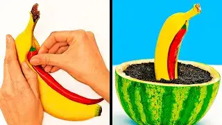 34 PFLANZEN-HACKS, DIE DU AUSPROBIEREN SOLLTEST