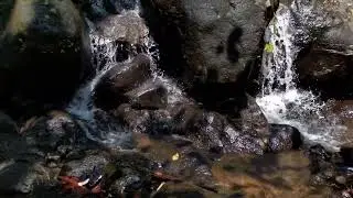 Waterfall Free Footage No Copyright | Waterfall from bogor Indoensia 2