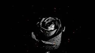Rammstein - Frühling in Paris (Theo Schwarz 2406 Remix) tech edit
