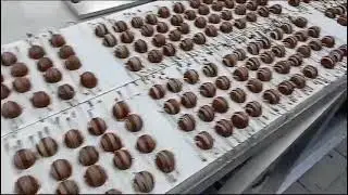 checking all selmi machine for chocolate factory