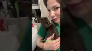 Кошечка без глаз победила болезнь и нашла новую семью 💔 