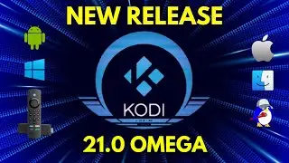 How to Install Kodi 21.0 Omega on Firestick/Android - November 2024