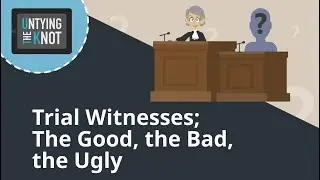 Trial Witnesses; The Good, The Bad, The Ugly