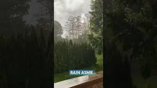 Rain sounds to relax from the backyard #asmr #asmrsounds #rain