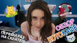 Гайд Москва:  Скейт-парк и Котокафе