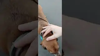 Эверест зовут малыша ❤️